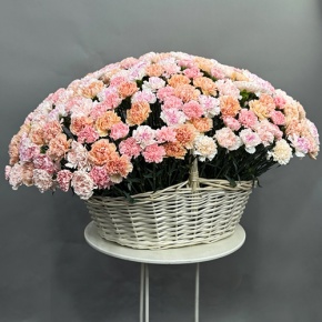 Композиция в корзине из 251 диантуса микс в Голицыно