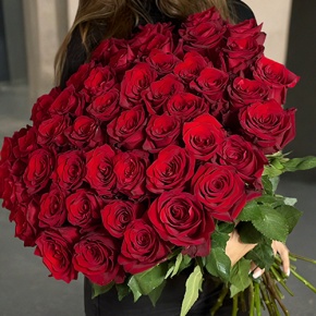Букет 51 роза Эквадор Эксплорер (60 см) в Голицыно