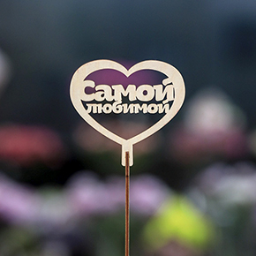 Топпер Самой Любимой в Голицыно