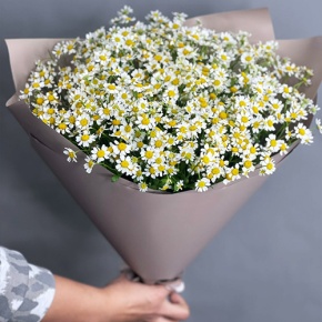 Букет из 17 ромашек танацетум в Голицыно