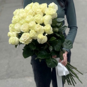 Монобукет из 25 роз Эквадор Мондиаль (80 см) в Голицыно