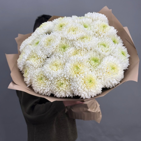 Букет из 27 хризантем Магнум в Голицыно