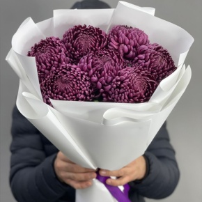 Букет "Винная легенда" из 7 хризантем Бигоуди в Голицыно