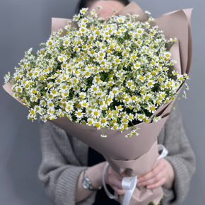 Букет из 17 полевых ромашек в Голицыно