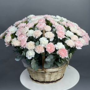 Композиция в корзине из 101 диантуса микс в Голицыно