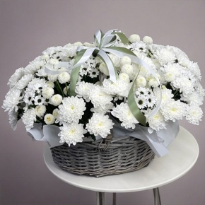 Композиция в корзине "Снежная лавина" из хризантем в Голицыно