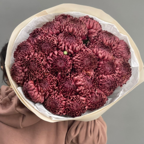 Букет 21 шоколадной хризантемы Бигоуди в Голицыно