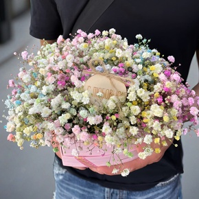 Композиция в коробке сердца из радужных гипсофил с топпером в Голицыно