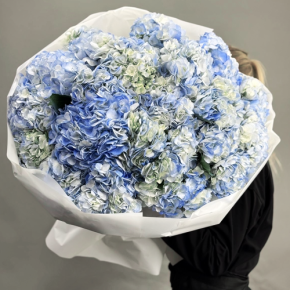 Букет из 23 синих гортензий в Голицыно