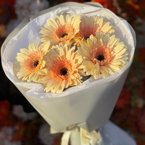 Букет из 5 персиковых гербер в Голицыно