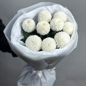 Букет из 9 белых хризантем Момоко в Голицыно