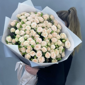 Букет из 25 кремовых кустовых роз (70 см) в Голицыно
