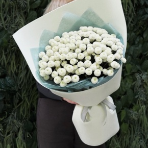 Букет из 25 хризантем Ньютон в Голицыно