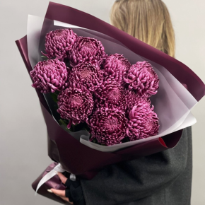 Букет "Изобилие" из 11 винных хризантем Бигоуди в Голицыно