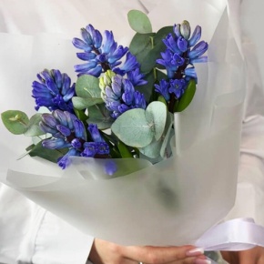 Букет "Мини" из 5 ароматных гиацинтов и эвкалипта в Голицыно