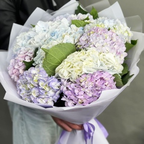 Букет из 9 Голландских гортензий микс в Голицыно