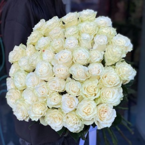 Букет из 51 розы Эквадор Мондиаль под ленту (80 см) в Голицыно