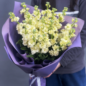 Букет из 15 лимонных маттиол в Голицыно