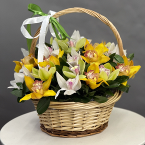 Композиция в корзине из 25 орхидей микс в Голицыно