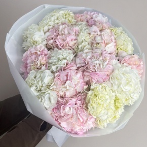 Букет из 17 нежных гортензий в Голицыно