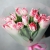 Букет "Фламинго" из 11 пионовидных тюльпанов в Голицыно Букет "Фламинго" из 11 пионовидных тюльпанов в Голицыно