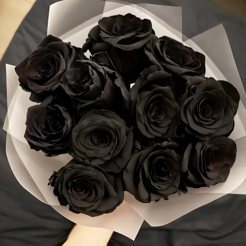 Букет "Черная королева" из 11 черных роз Эквадор (60 см) в Голицыно