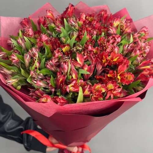 Монобукет из 25 красных альстромерий в Голицыно