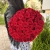 Букет 51 красной розы 50 см в Голицыно Букет 51 красной розы 50 см в Голицыно