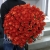 Букет 101 коралловая роза (60 см) в Голицыно Букет 101 коралловая роза (60 см) в Голицыно