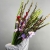 Букет из 25 гладиолусов микс в Голицыно Букет из 25 гладиолусов микс в Голицыно