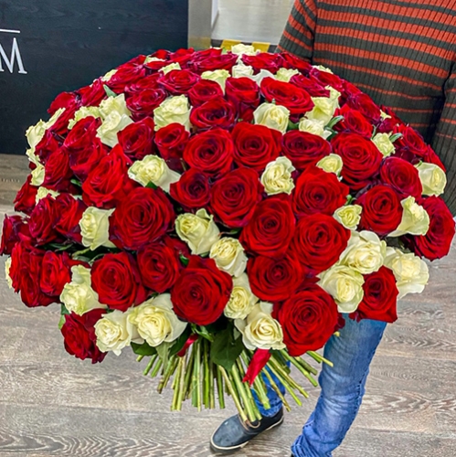 Букет 151 роза красный и белый микс (60 см) в Голицыно