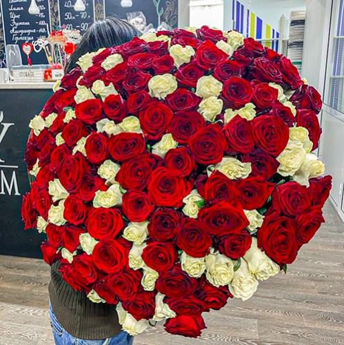 Букет 151 роза красный и белый микс (60 см) в Голицыно