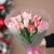 Букет "Фламинго" из 11 пионовидных тюльпанов в Голицыно Букет "Фламинго" из 11 пионовидных тюльпанов в Голицыно