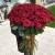Букет из 101 красной розы (90 см) в Голицыно Букет из 101 красной розы (90 см) в Голицыно