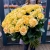 75 роз Аваланж (70 см) в Голицыно 75 роз Аваланж (70 см) в Голицыно