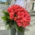 Букет 51 роза коралл (60 см) в Голицыно Букет 51 роза коралл (60 см) в Голицыно