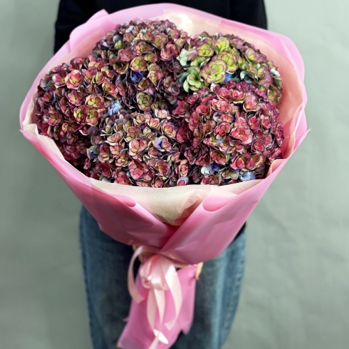 Букет из 5 космических Голландских гортензий в Голицыно