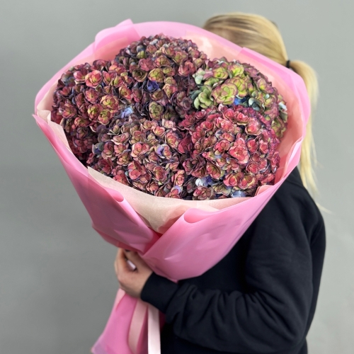 Букет из 5 космических Голландских гортензий в Голицыно